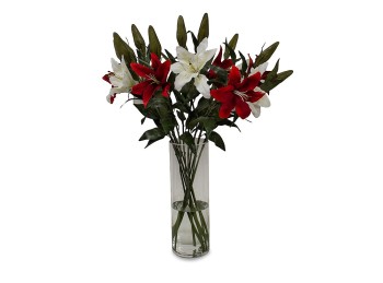 Vara Lilium Roja