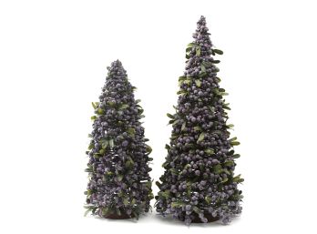 Pino con Frutos Morado