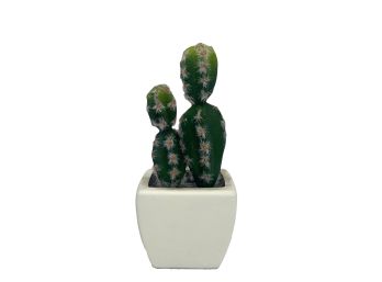 Maceta Cactus Grande