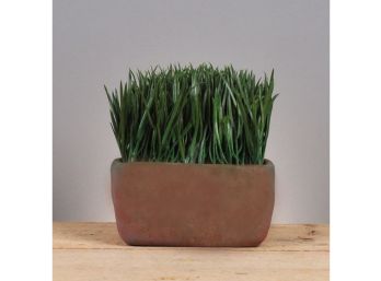 Maceta Terracota con Pasto