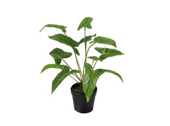 Planta de Interior Artificial