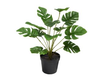 Planta de Interior Artificial