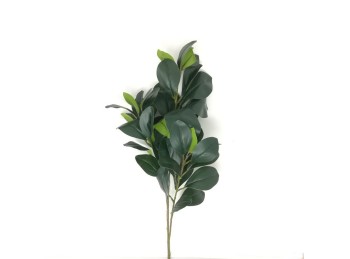 Rama Hojas 80 Cm
