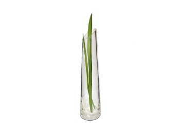 Florero De Vidrio 30 Cm