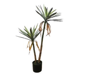 Planta 117 cm